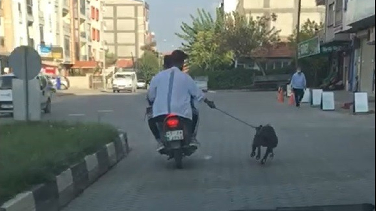 Motosiklete binip köpeği peşlerinden koşturdular