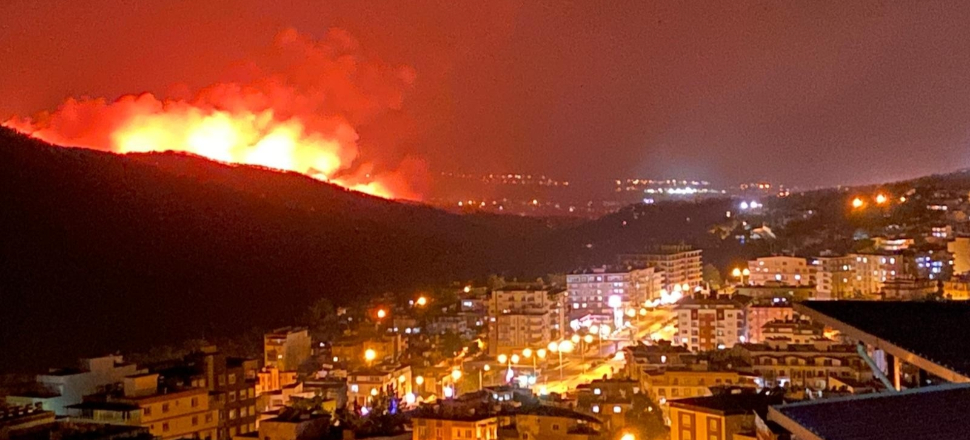 Hatay'daki orman yangınında son durum