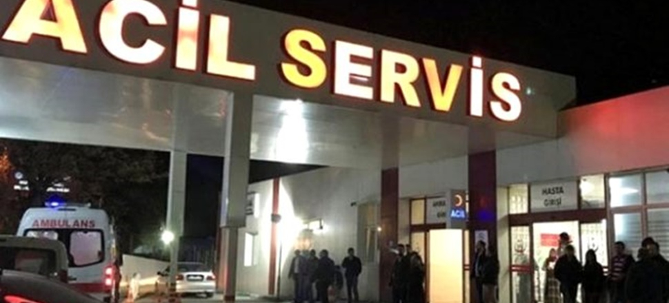 Kayınvalidesini 8 el ateş ederek öldürdü