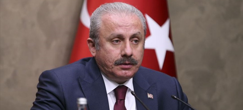 'Yeni sistemde erken seçim kararı çok zor'