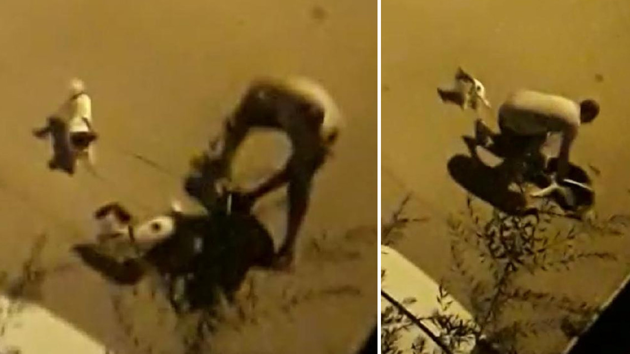 Köpeklere sopayla şiddet tepki çekti!