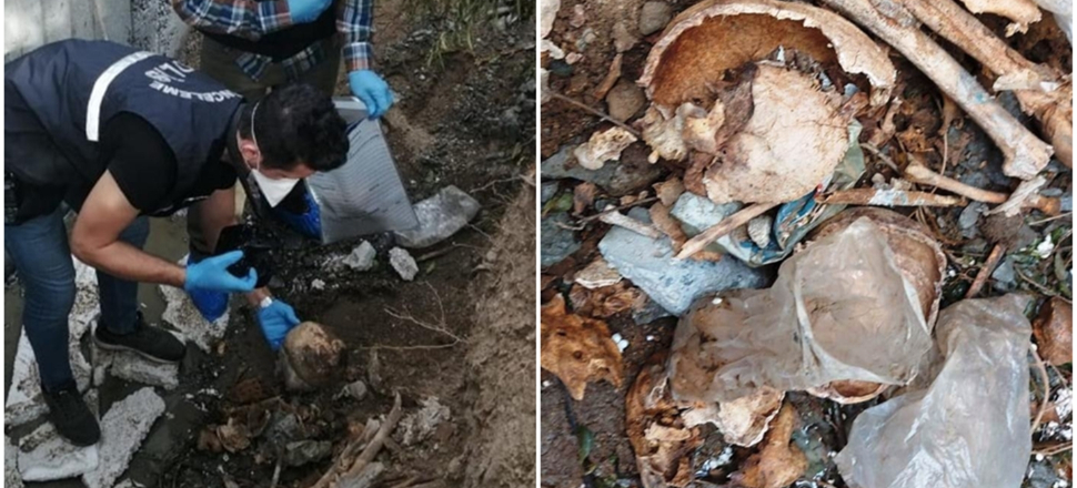 İnşaat alanında 3 kişiye ait kemikler bulundu