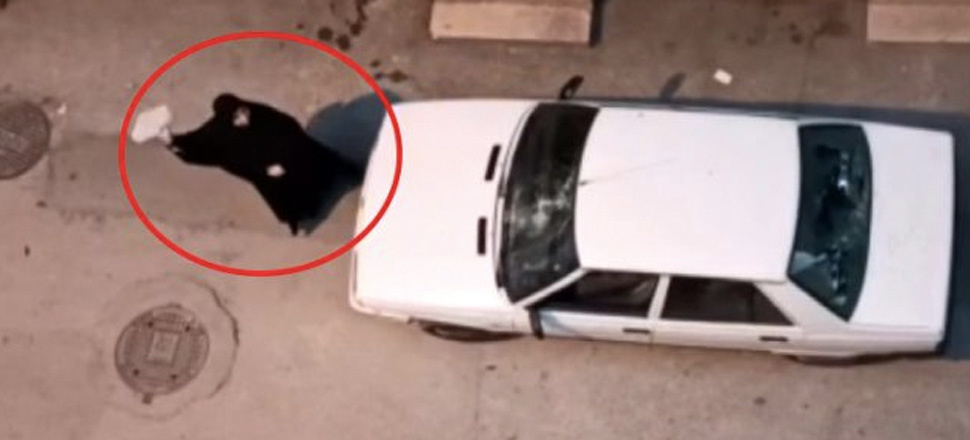 Kocasını başka bir kadının evinde yakalayan eş, çılgına döndü!