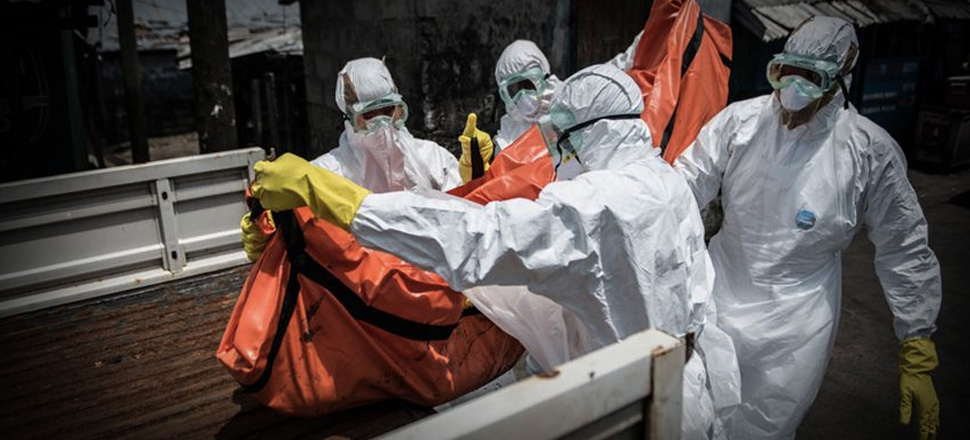 Ebola’nın tedavisi bulundu!
