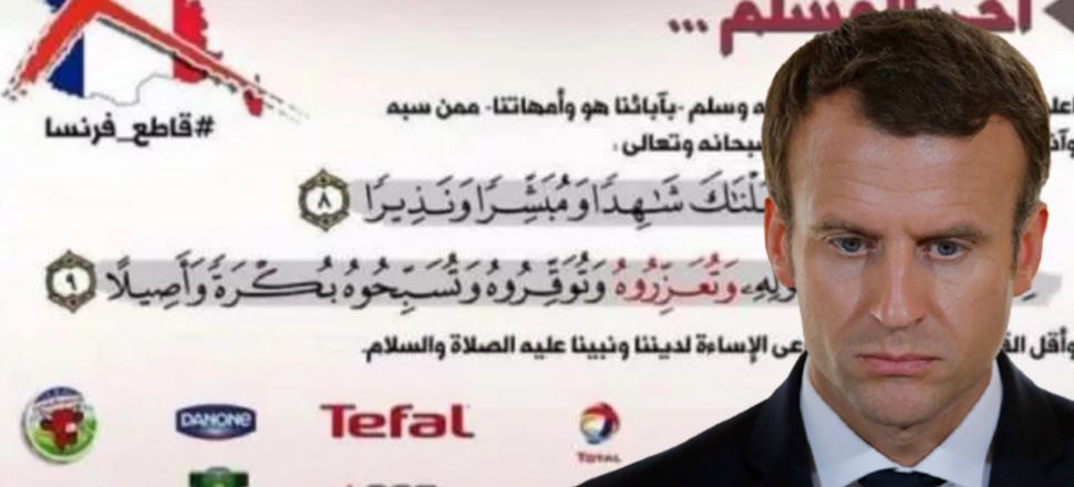 Fransa'dan 'boykot etmeyin' çağrısı
