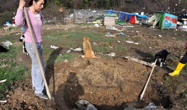 Açlık grevi yapan hayvanseverler kendi mezarlarını kazdılar