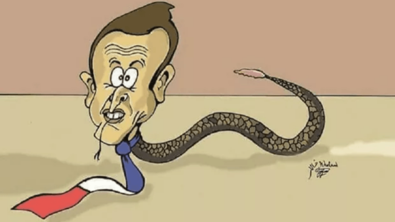 Macron'u çizen karikatürist kovuldu