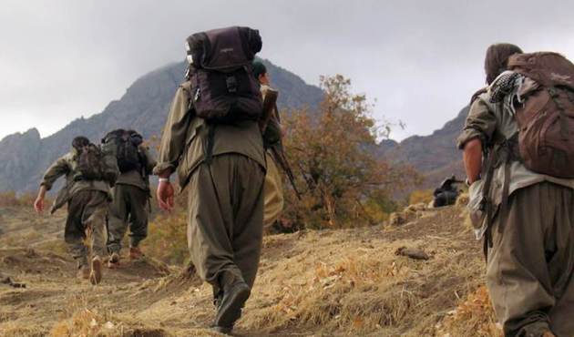 PKK'nın üst düzey yöneticisi öldürüldü