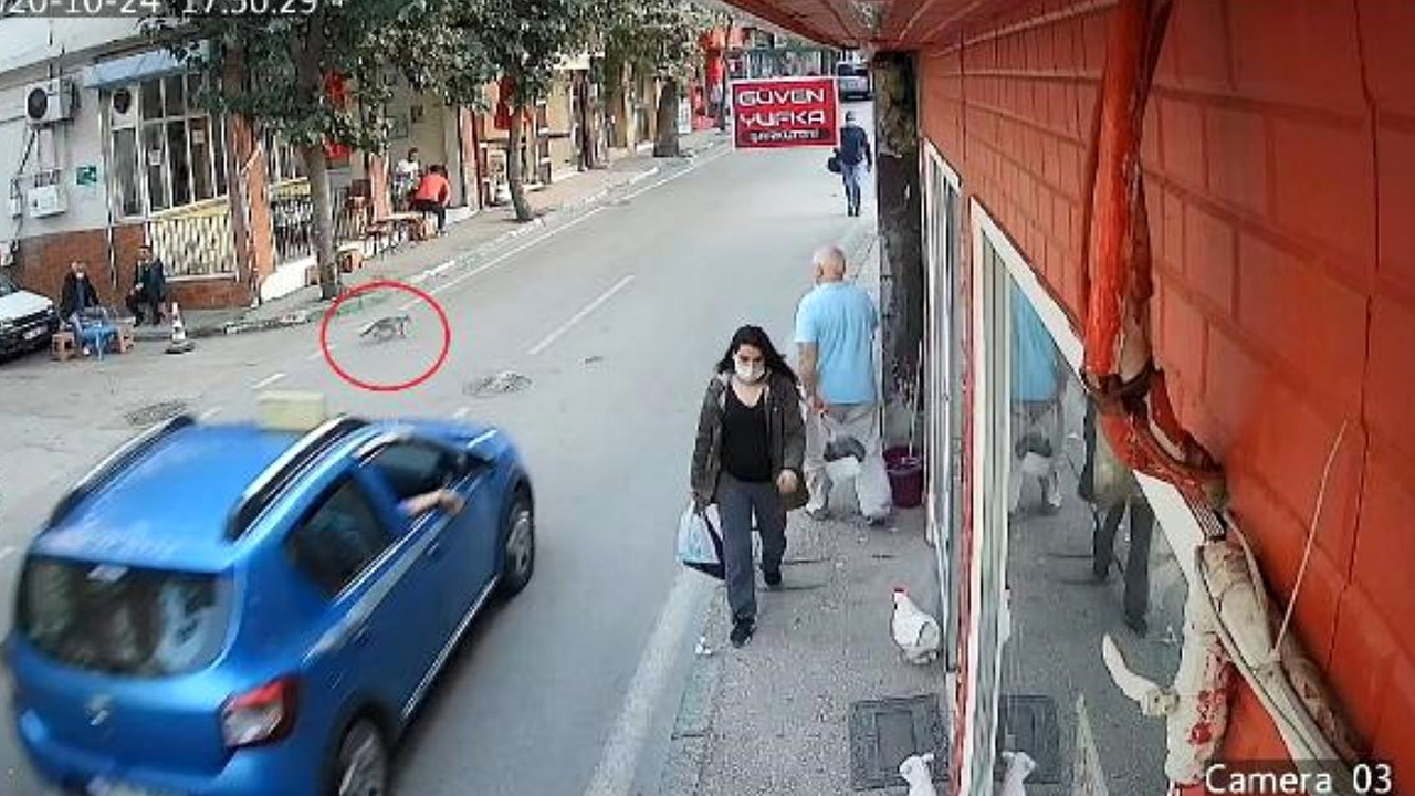 Kediyi ezdi arkasına bakmadan yoluna devam etti!