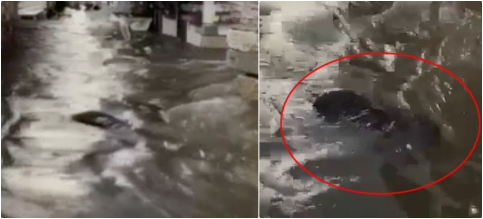 Video çekerken suda babaannesini gördü