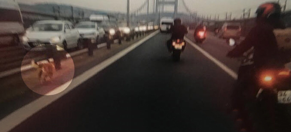 Eskort eşliğinde 15 Temmuz Şehitler Köprüsü'nden geçti!