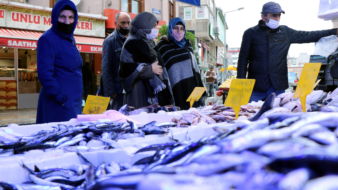 Palamut gitti hamsi tezgahı doldurdu