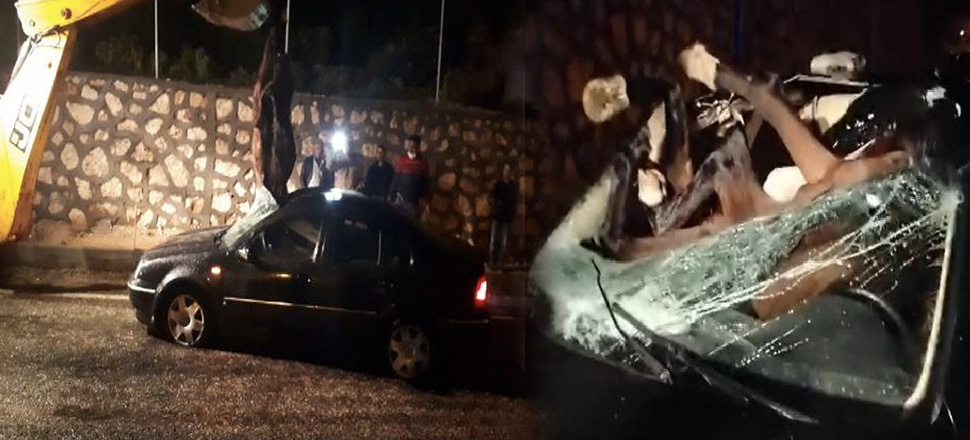 Kazada otomobilin ön camından giren at telef oldu! 2 kişi yaralandı...