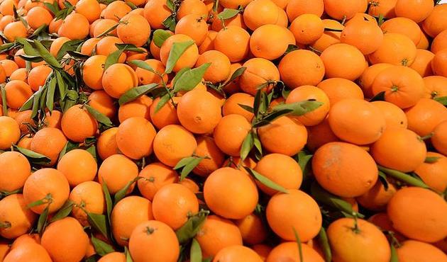 3 yıl sonra ilk kez oldu! Rusya ile normalleşme çabaları 'meyve verdi'