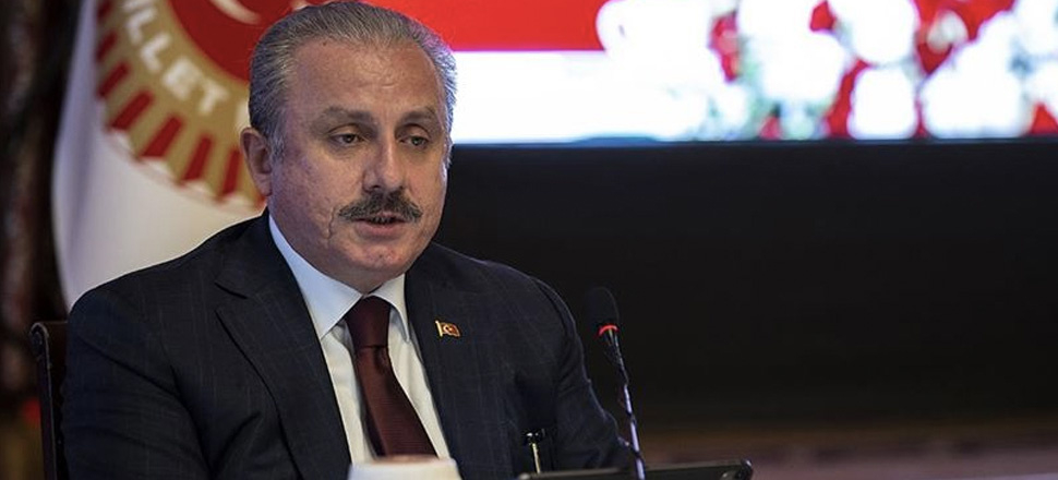 TBMM Başkanı'ndan Fransız polisine çok sert tepki!