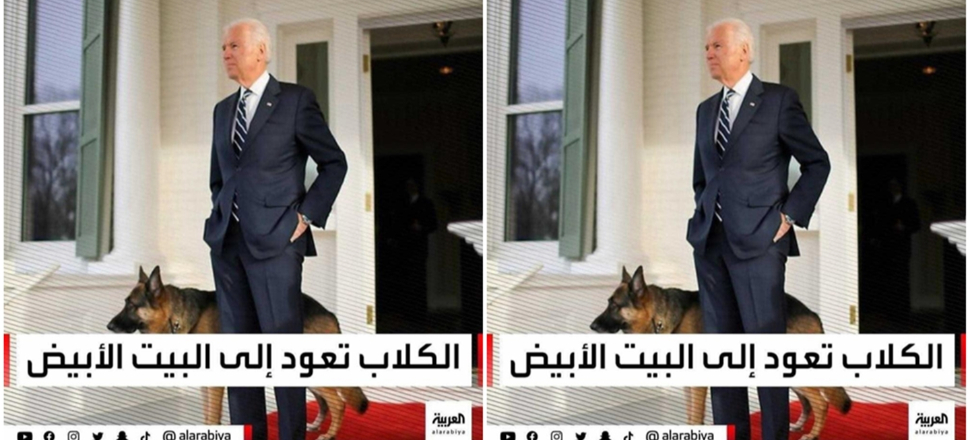 'Köpekler yeniden Beyaz Saray'da'