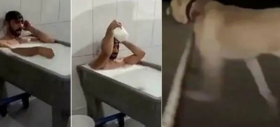 Süt banyosu rezaletinden sonra köpeğe eziyet