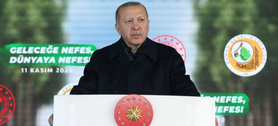 Cumhurbaşkanı Erdoğan: Bizi eleştirenler PKK'lı teröristlerin yaktığı ormanlardan hiç bahsetmiyor