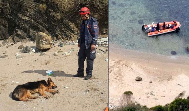 Bartın'da bir köpek 30 metre yükseklikteki kayalıklardan düştü VİDEO