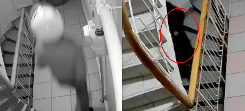 Sipariş götürdüğü binaya tuvaletini yaptı