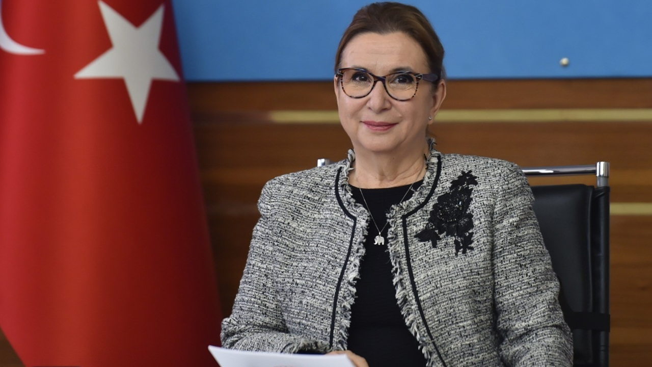 Ticaret Bakanı Ruhsar Pekcan'ın annesi vefat etti