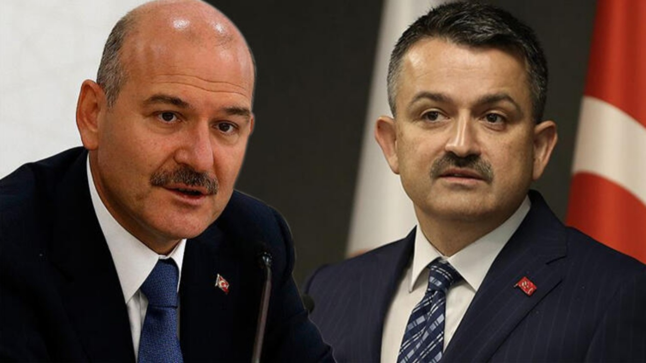 'Pakdemirli'ye bir abi diyeceğiz...'