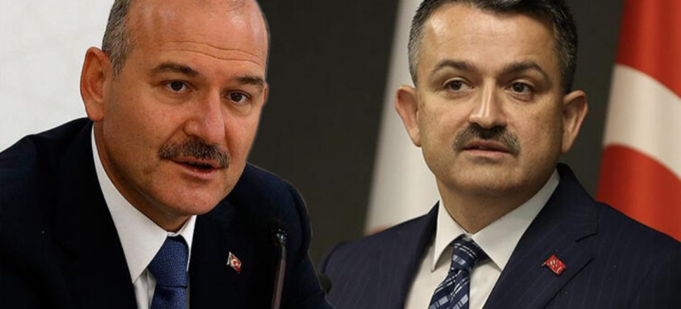'Pakdemirli'ye bir abi diyeceğiz...'