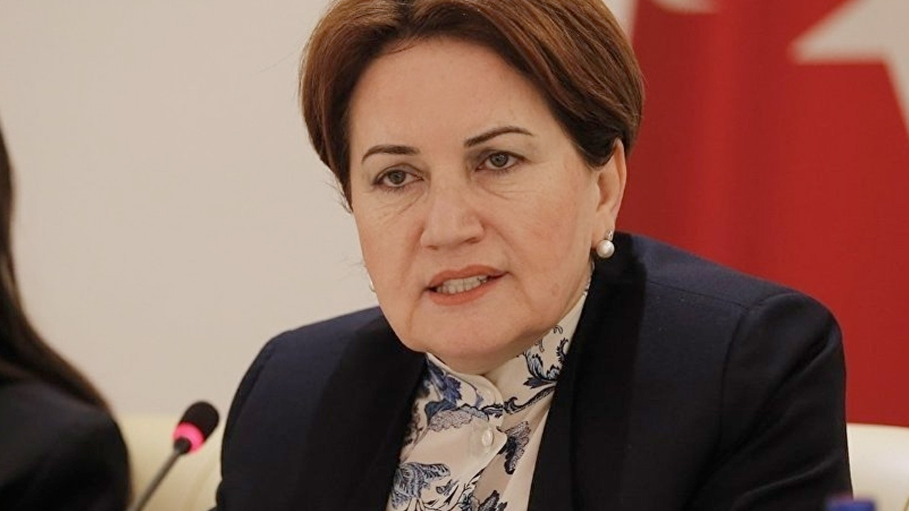 'Türk milliyetçiliği tasfiye ediliyor!'