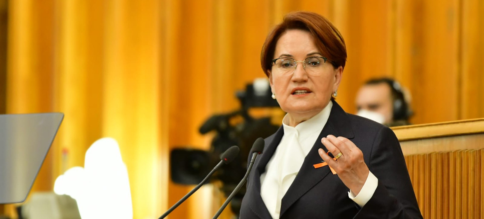 'Türk milliyetçiliği tasfiye ediliyor!'