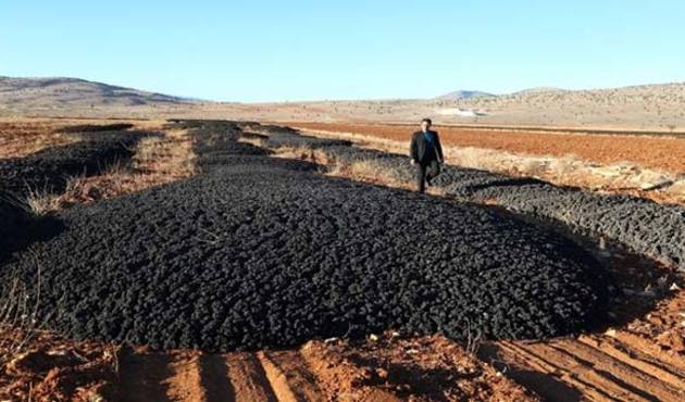 TÜBİTAK'ın açıkladığı sonuçlar dehşete düşürdü!