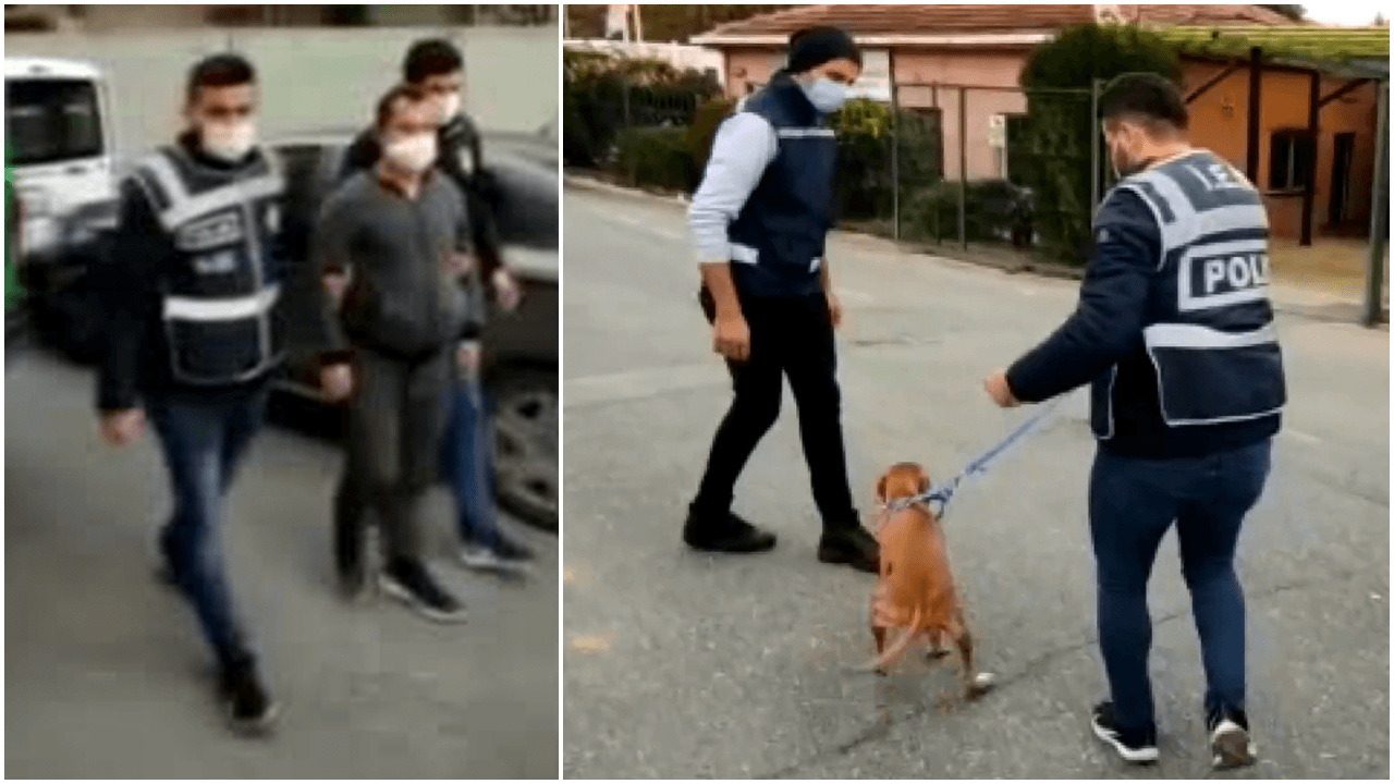 Hayvanlara yönelik sapkın mesajlar atmıştı