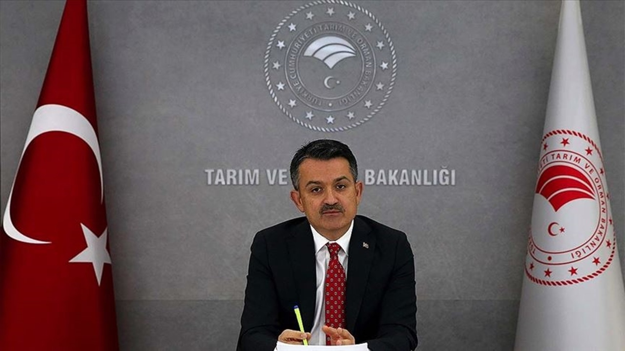 Bakan Pakdemirli, üç sektöre yönelik desteklerin detaylarını paylaştı