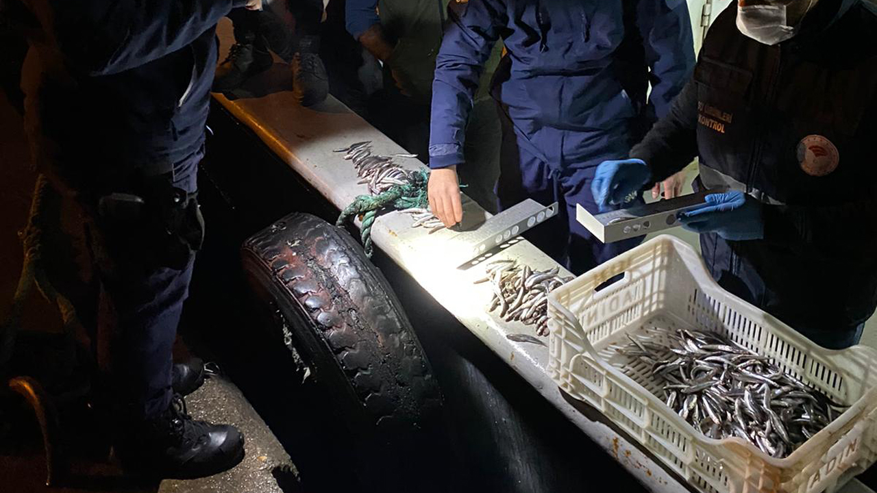 Sahil Güvenlik ekiplerince yapılan denetimde 15 ton hamsiye el konuldu