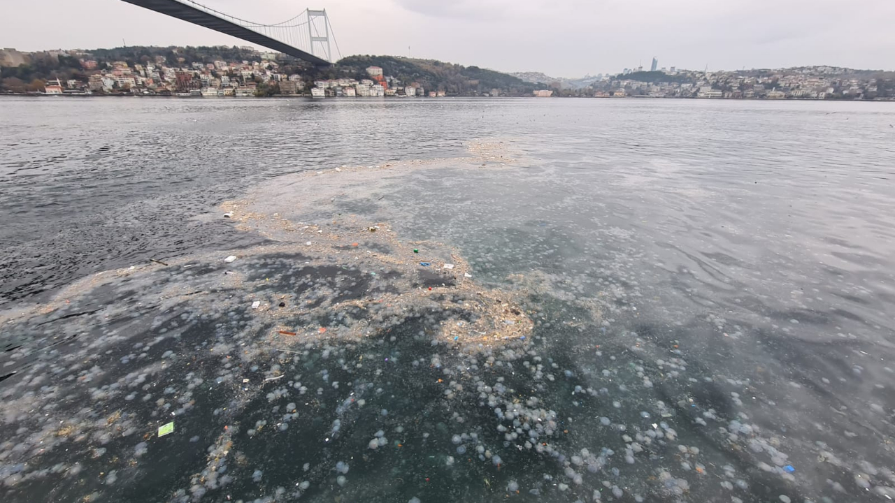İstanbul Boğazı'ndaki kirlilik büyük tepki çekti
