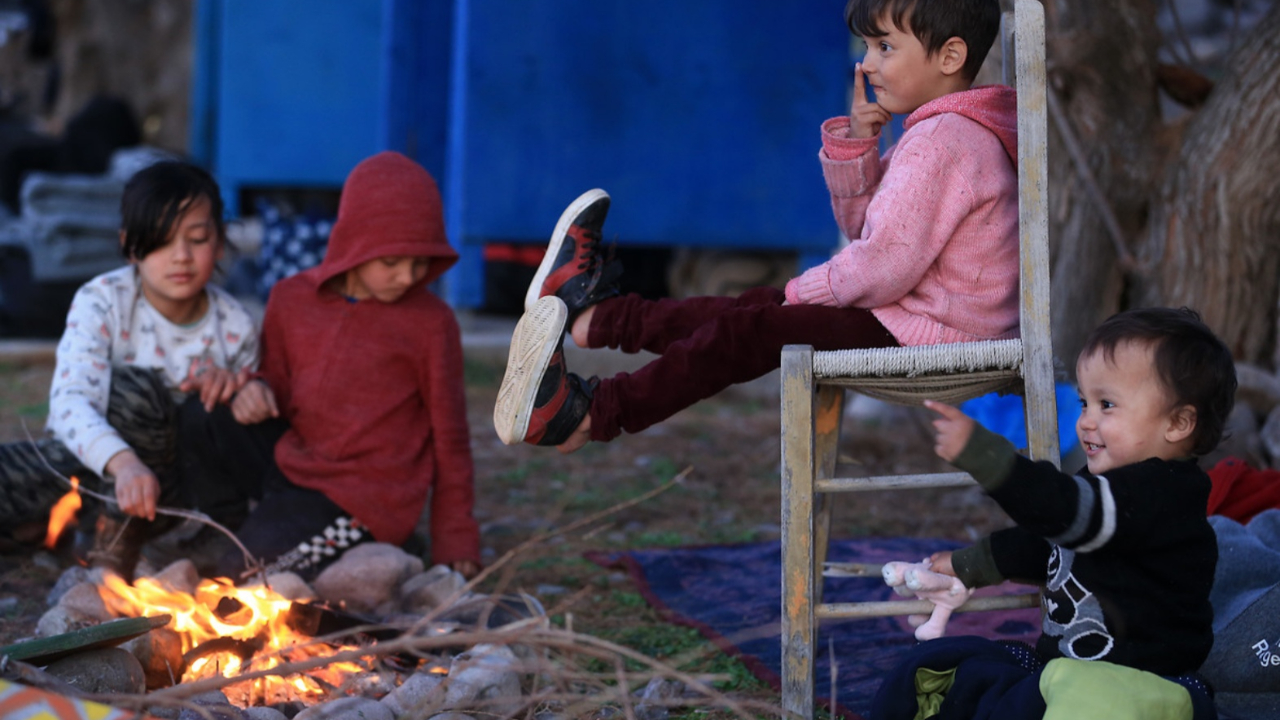 Fareler mülteci bebekleri kemiriyor