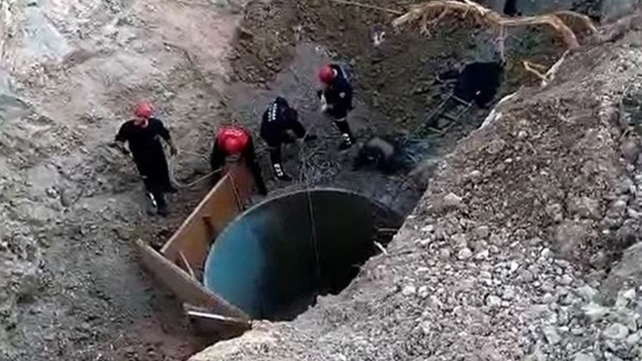 Adana'da kuyu faciası