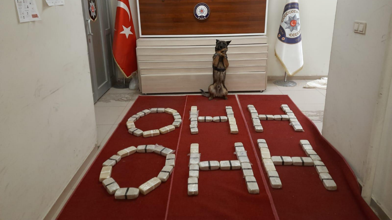 Narkotikten Bakan Soylu'ya destek: Ohh