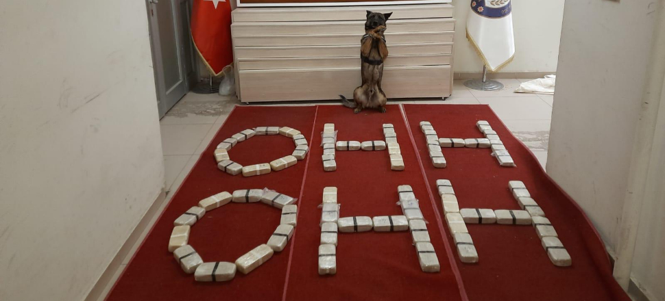 Narkotikten Bakan Soylu'ya destek: Ohh
