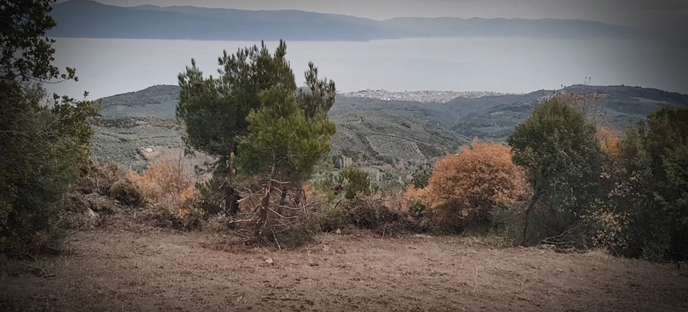 Koronavirüsü fırsat bilen uyanıklar devlet arazilerine kondu!