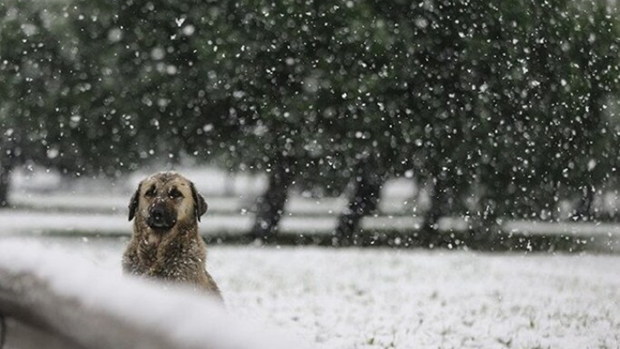 Meteoroloji il il uyardı! Kar yağışı etkili olacak