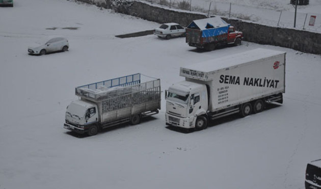 Bahar geldi derken bu manzaraya uyandılar!