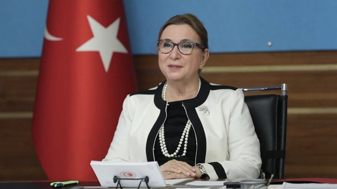 Ticaret Bakanı Ruhsar Pekcan: Brexit sürecini nefes nefese, dakika dakika takip ediyoruz...