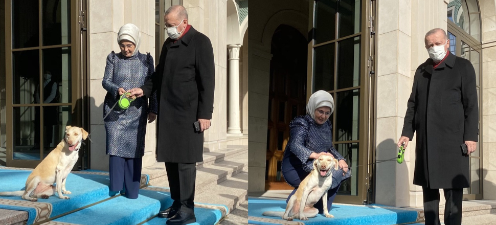'Cumhurbaşkanımızı Leblebi ile birlikte uğurladık'