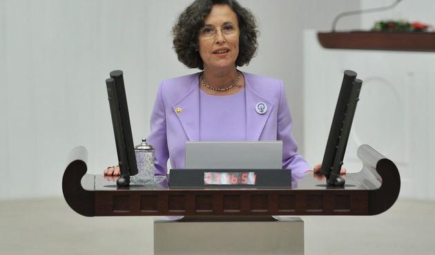 HDP'li Kerestecioğlu'dan skandal 'Hollanda' açıklaması!