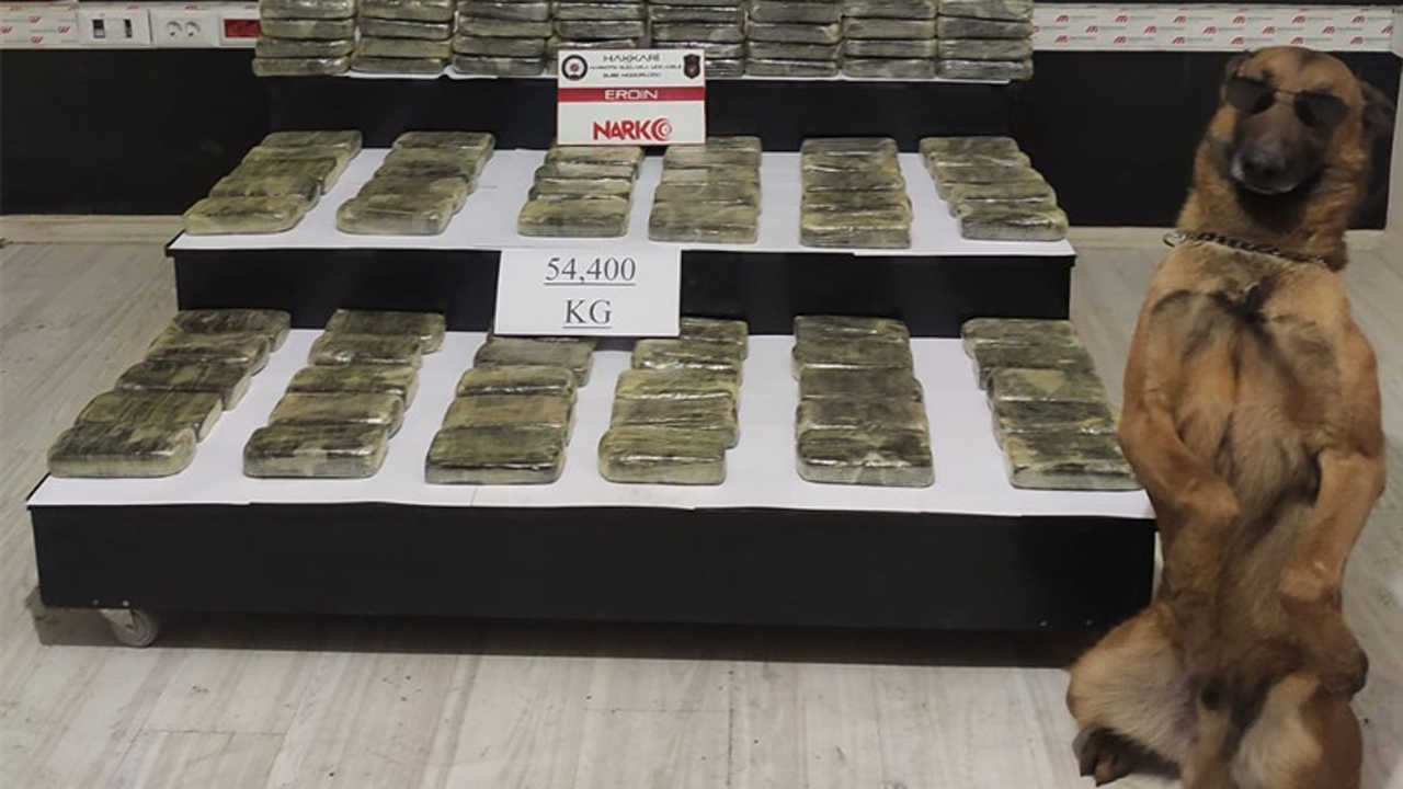 Narkotik köpeği 54.4 kilo eroini yakaladı böyle poz verdi