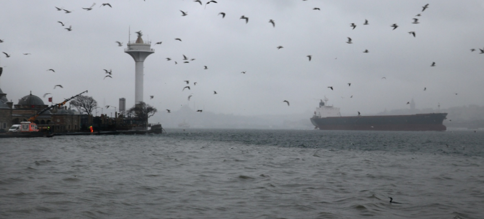 İstanbul Boğazı'nın rengi değişti