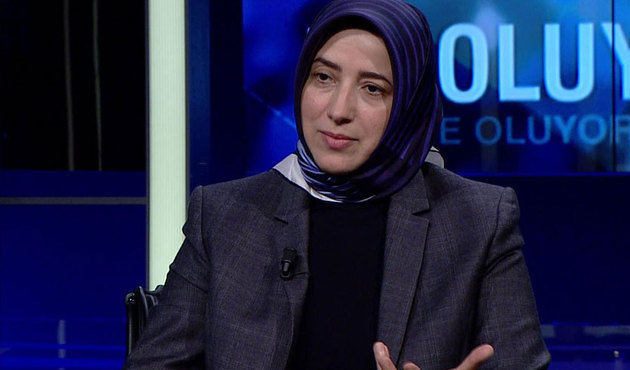 Cumhurbaşkanı Başdanışmanı: 'Evet' çıkarsa iki madde yürürlüğe girecek