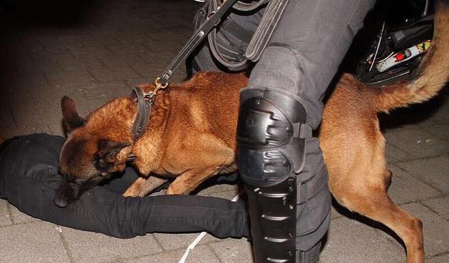 Hollanda polisi Türk vatandaşlarına şiddet uyguladı