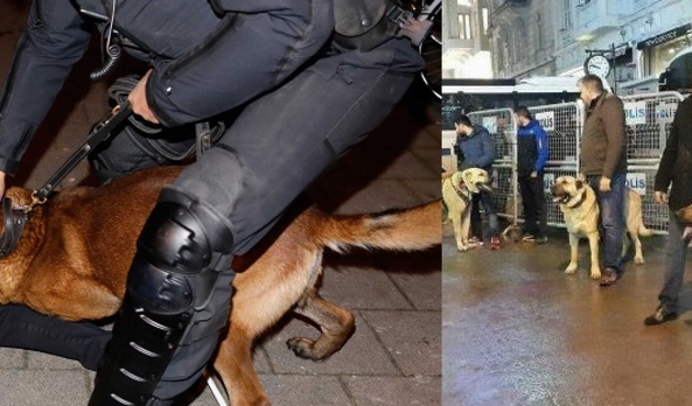 Hollanda Başkonsolosluğu önünde Kangallı protesto!