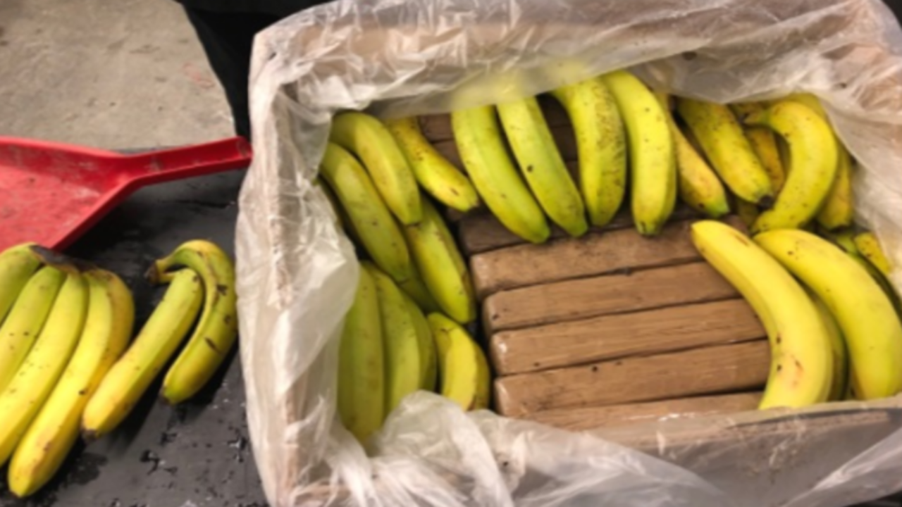 Kokain dolu muz kolileri marketlere gönderildi